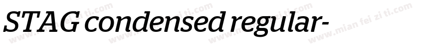 STAG condensed regular字体转换